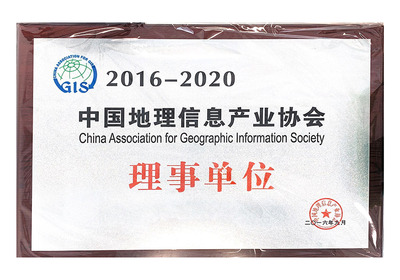 中国地理信息产业协会理事单位.jpg